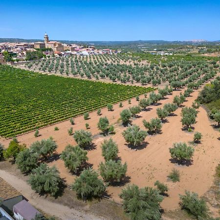 Hotel & Resort Vilar Rural D'Arnes By Serhs Hotels Sant Carlos de la Ràpita المظهر الخارجي الصورة